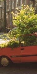 Autotuin